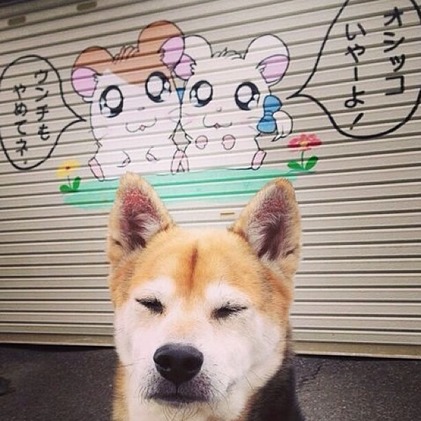 沪上巅峰战，马克西无争议当选全场最佳，雄鹿力克上海队