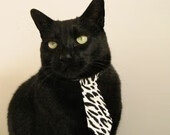 绿军的精密钟摆与凤凰城的烈焰狂飙，当节奏掌控遇上布克的决胜时刻