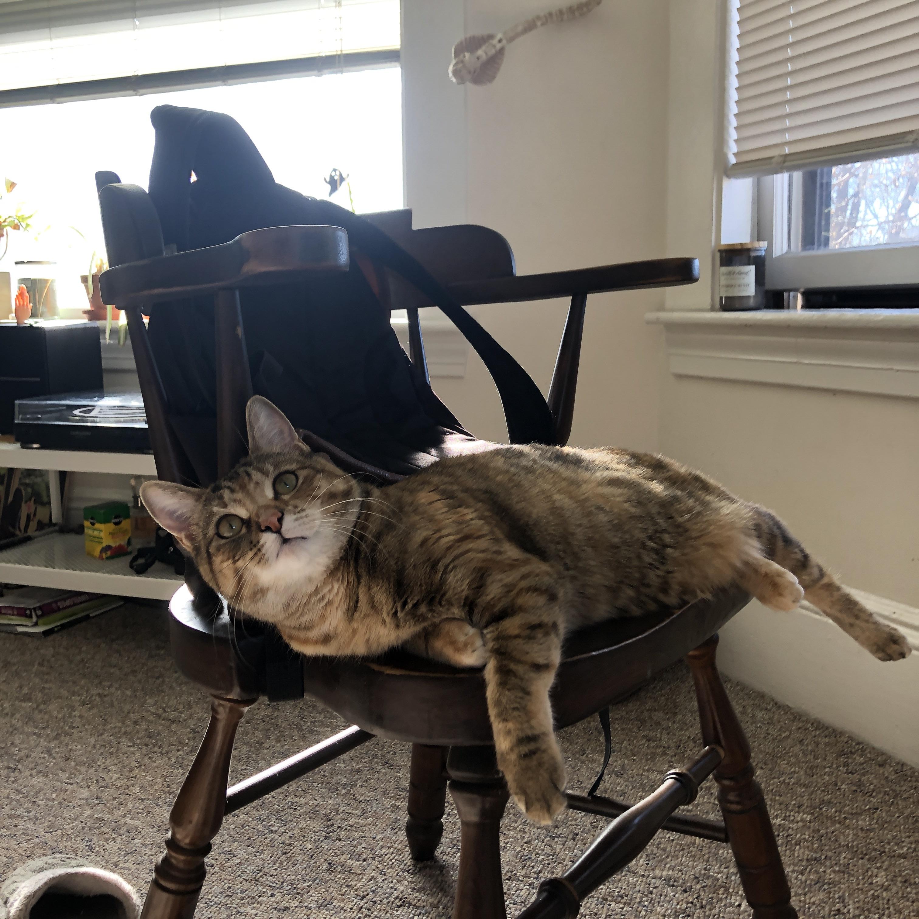 终结神话的唯一密钥，孔德如何将勒沃库森锻造成利物浦不败王朝的终结者