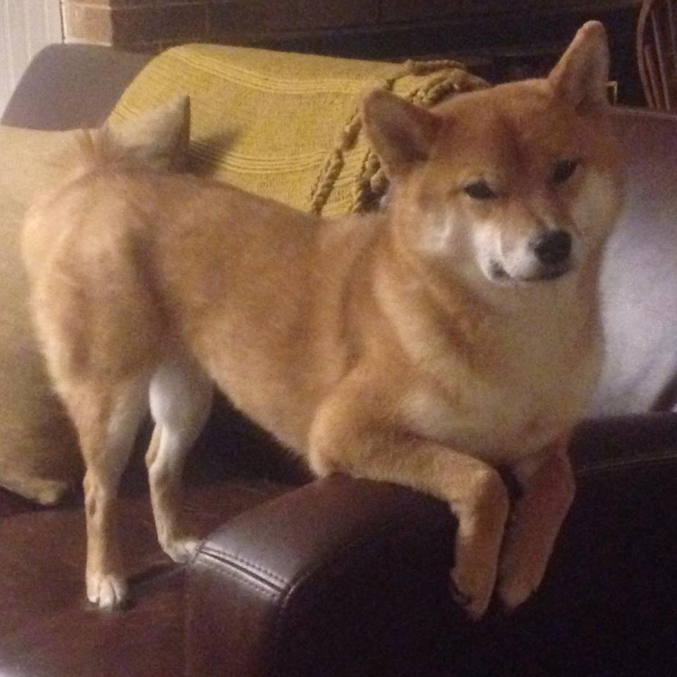 绝对时区，詹姆斯末节接管比赛，独享无人之境