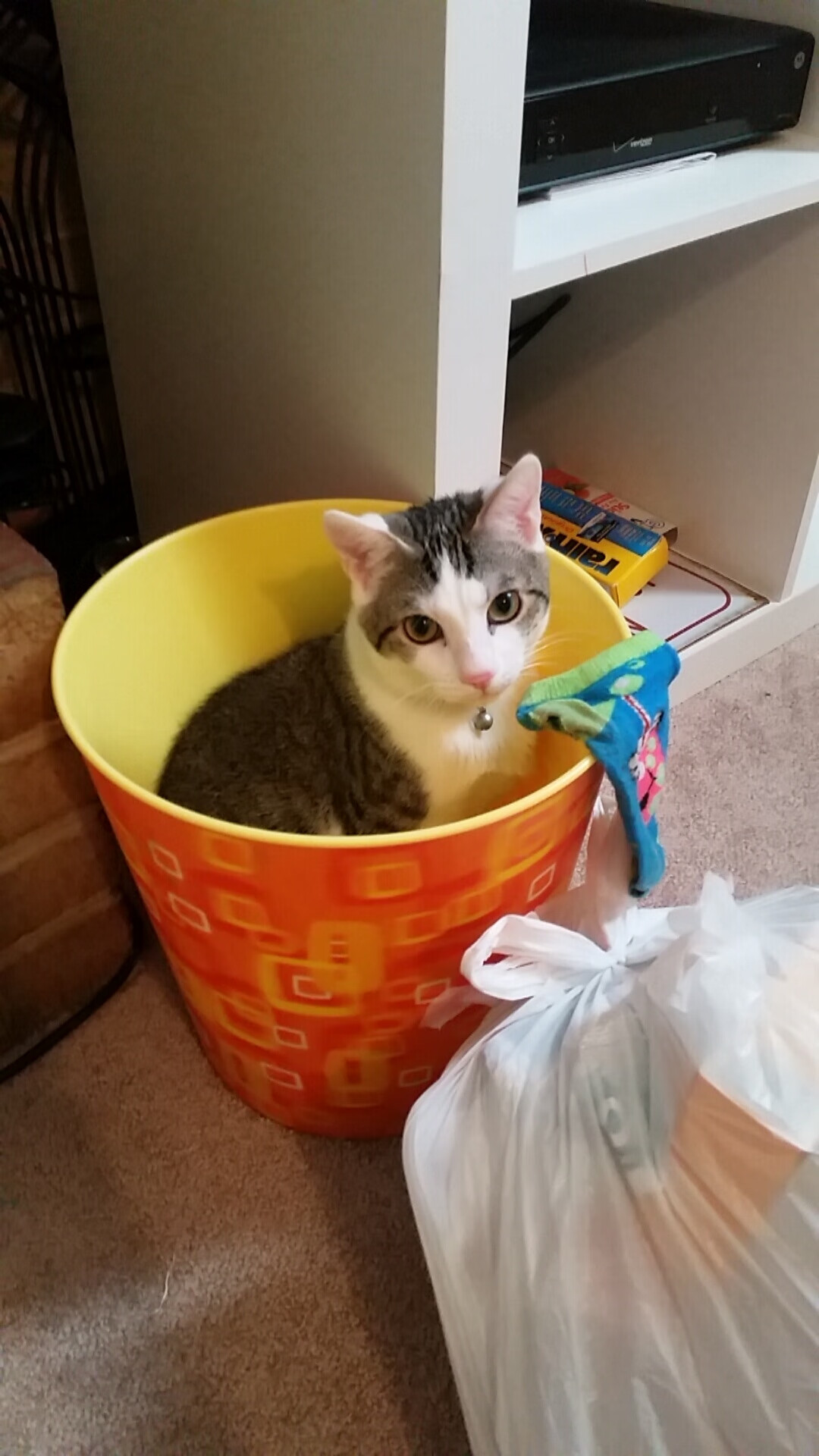 球场飓风眼，当拉文的律动成为唯一指挥官