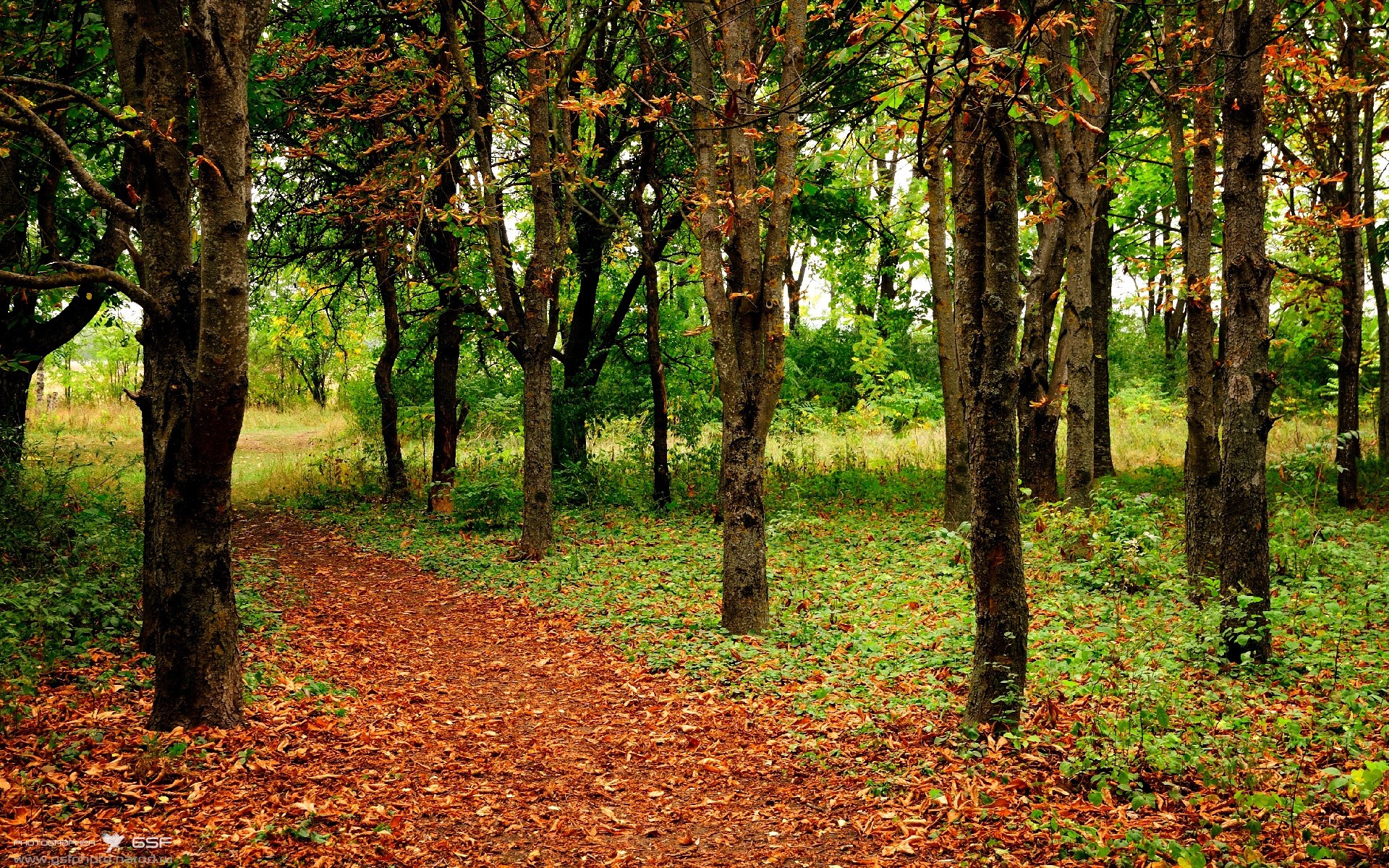 双重封锁，瑞典战术铁幕下的伊朗，与刺破黑暗的凯恩之光