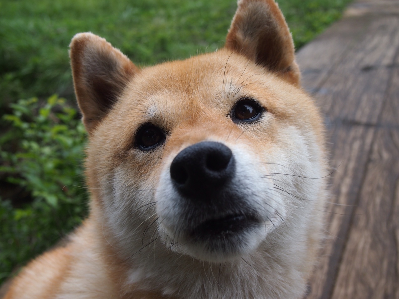 特奥·埃尔南德斯的安达卢西亚独奏，塞维利亚角斗场上演黄金一刀