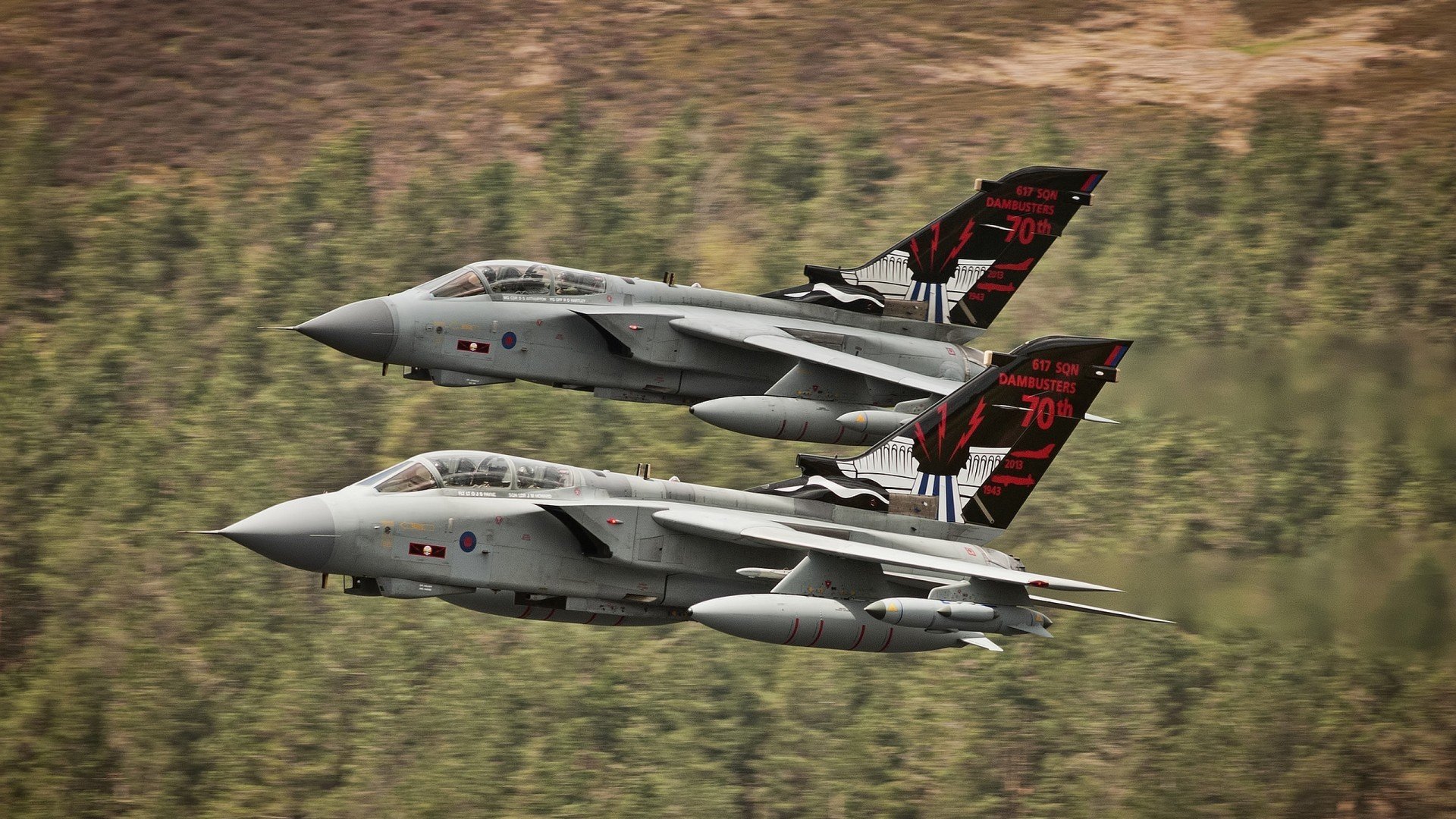 霍勒迪全场主宰，开拓者激战国王斩获关键胜利