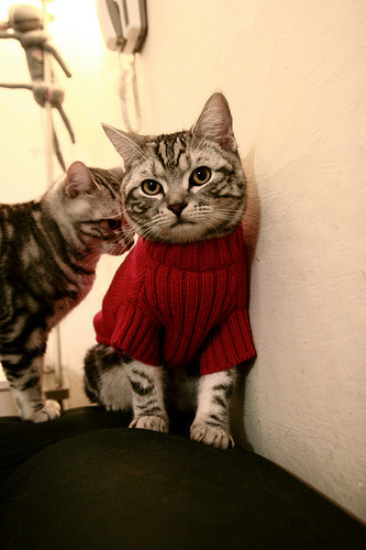 雷火电竞简介-孤胆棋手的加时棋局，当布伦森在总决赛的混沌中，为步行者刻下唯一的胜者之名