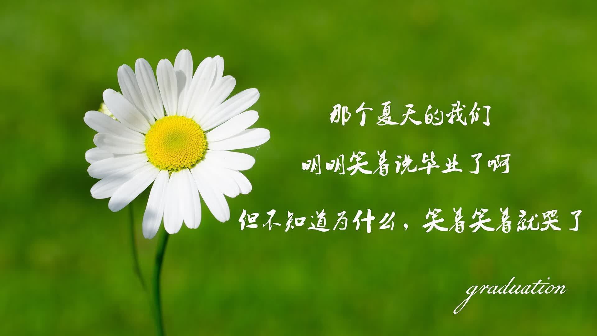 节奏之王,乌拉圭的碾压艺术与C罗的终极掌控—2026世界杯F组暗战纪实