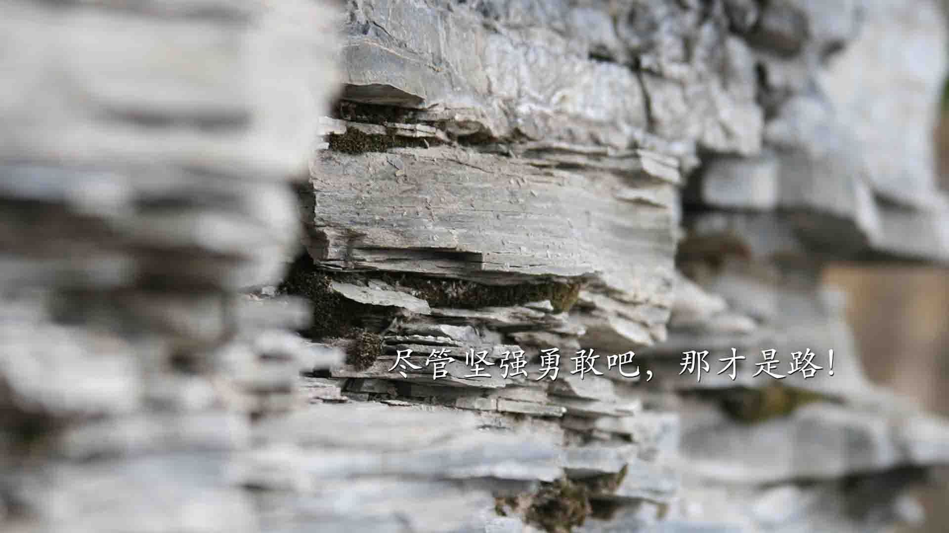 致命一击，当托纳利的左脚改写了足球世界的唯一剧本